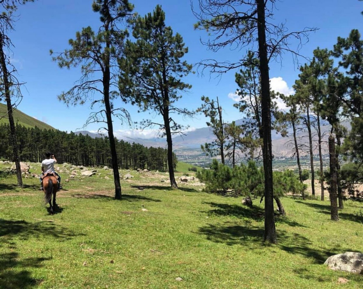 VENTA TERRENOS EN EL PINAR, TAFI DEL VALLE- VISTAS INMEJORABLES 