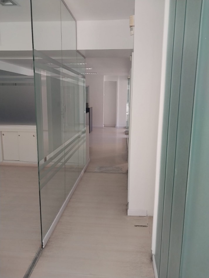 ALQUILER  OFICINA DE 240 M2 8 PRIVADOS  SAN MARTIN 600