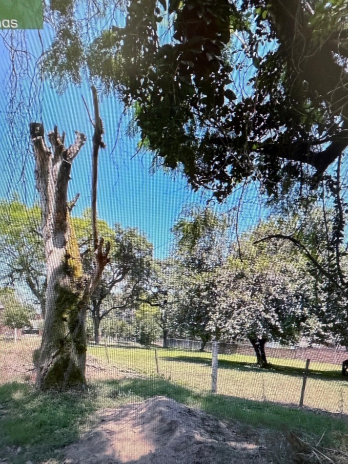 COMERCIALIZA TERRENO YERBA BUENA, SAAVEDRA LAMAS Y QUITO
