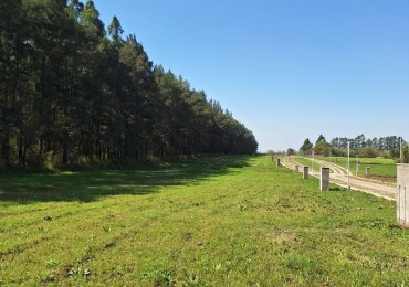 TERRENOS EN VENTA EN AYMARA BARRIO PRIVADO. PRECIO IMPERDIBLE!