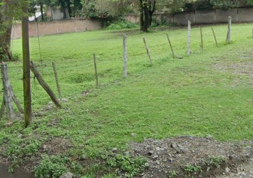 ALQUILER TERRENO YERBA BUENA 